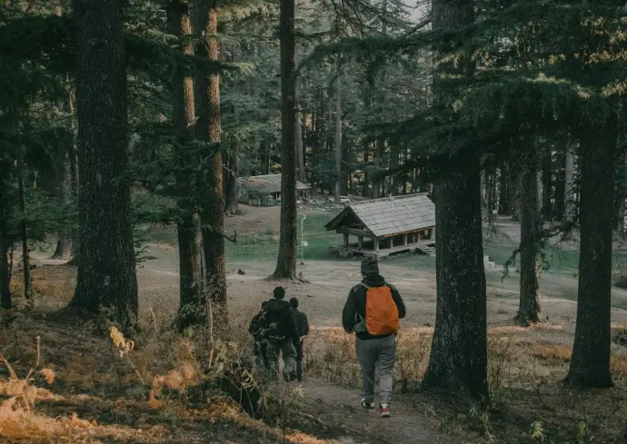 A group of people walking through a forest